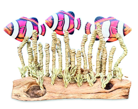 Clownfish Shoal In Seagrass