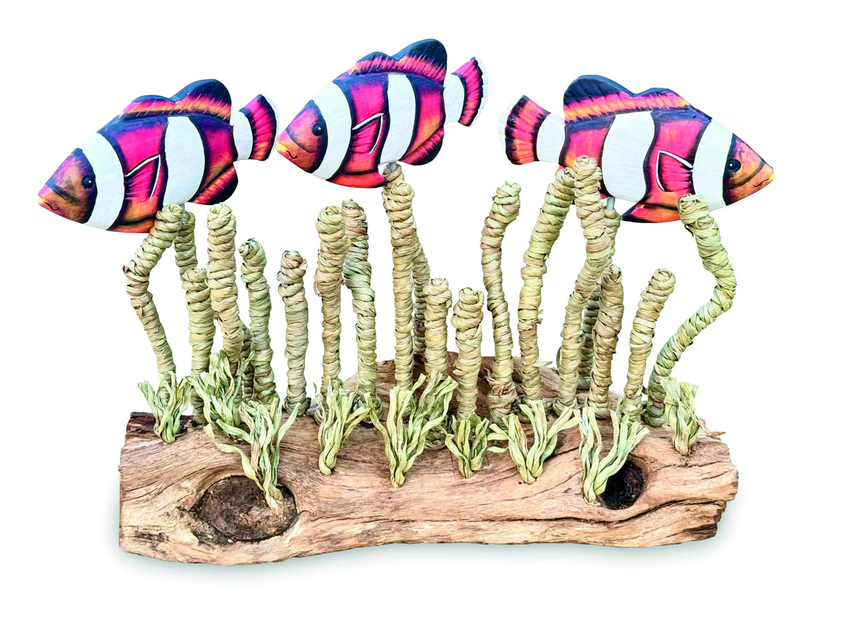 Clownfish Shoal In Seagrass