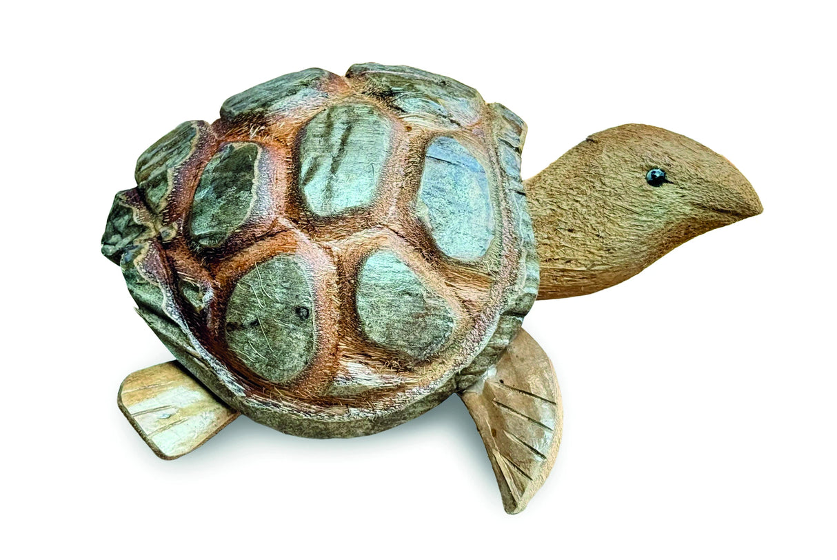 Coconut Nodding Tortoise