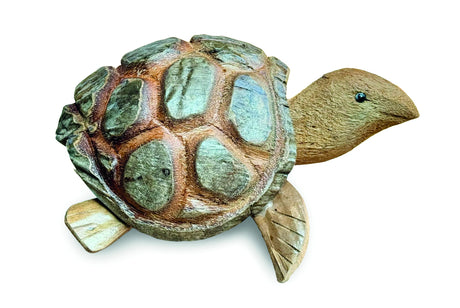 Coconut Nodding Tortoise