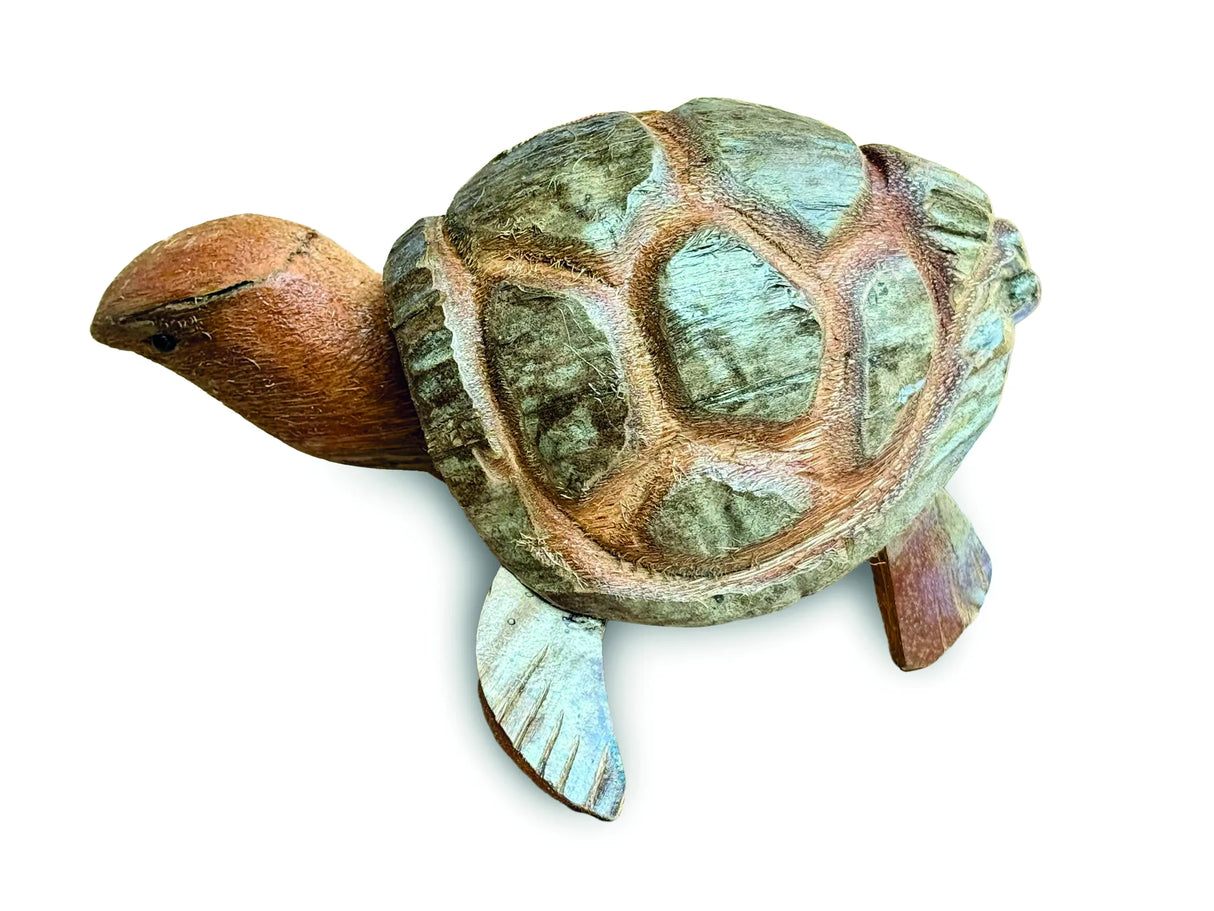 COCONUT NODDING TORTOISE