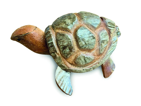 COCONUT NODDING TORTOISE