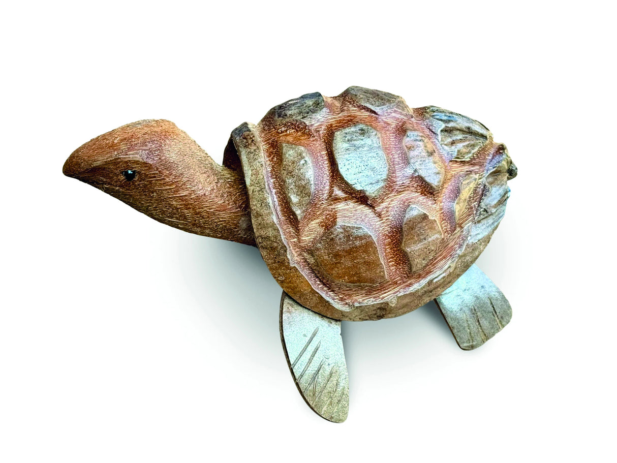 Coconut Nodding Tortoise