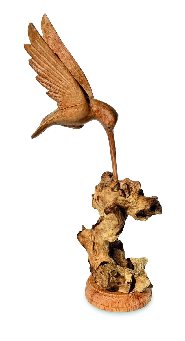 Single Hummingbird Feeding
