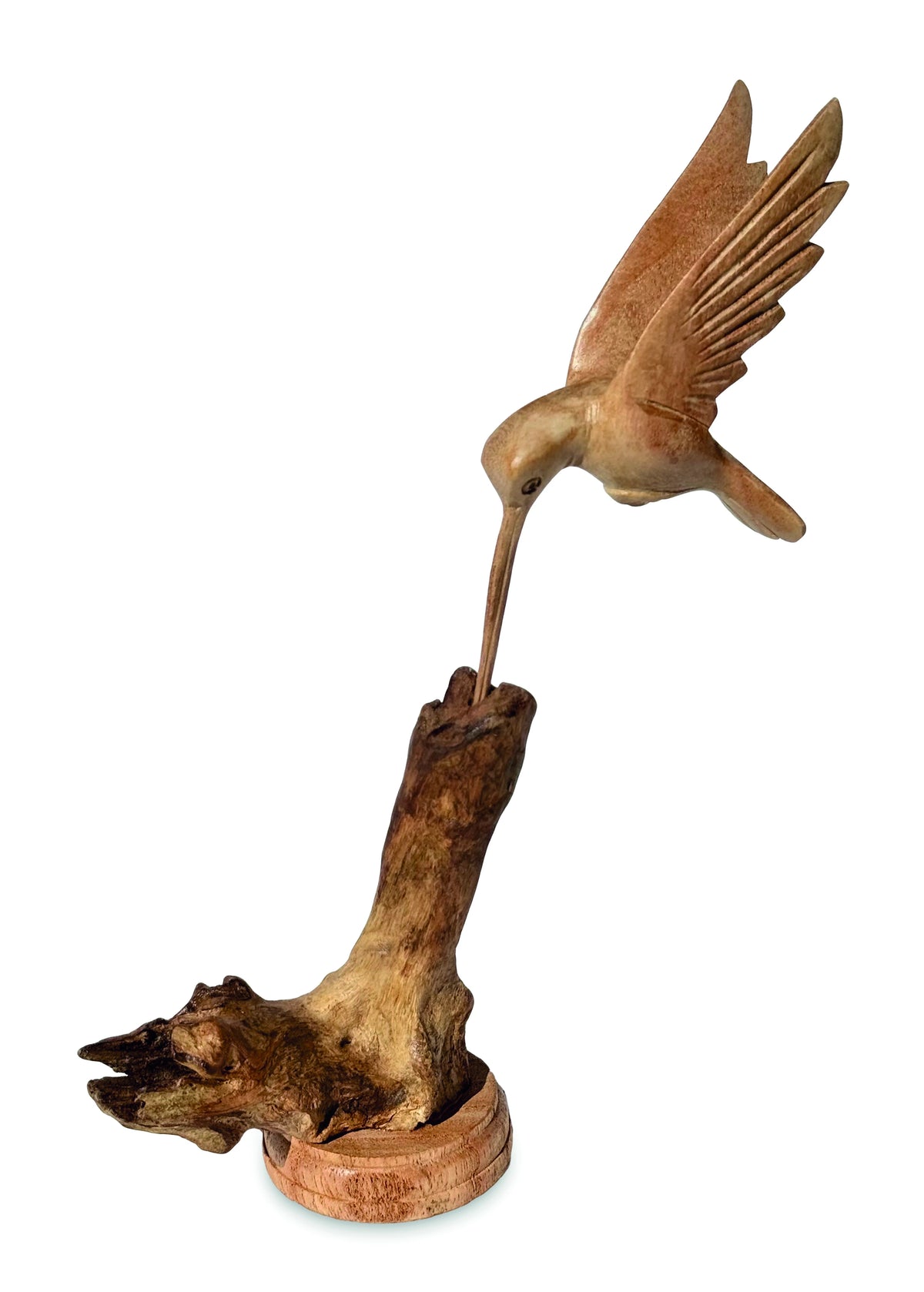 Single Hummingbird Feeding