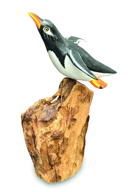 SINGLE CLIFF DIVING PENGUIN 13-15h