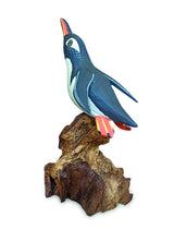 SINGLE CLIFF DIVING PENGUIN 13-15h