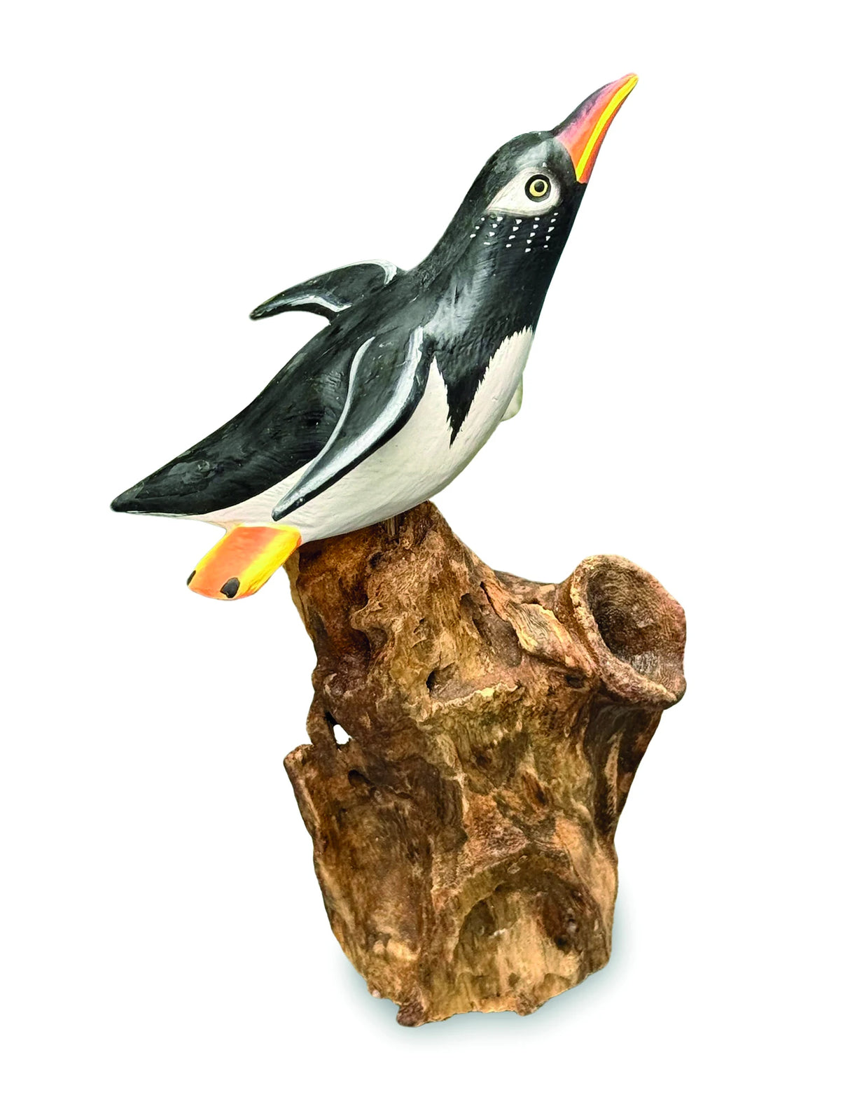 SINGLE CLIFF DIVING PENGUIN 13-15h