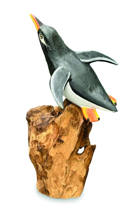 SINGLE CLIFF DIVING PENGUIN 13-15h