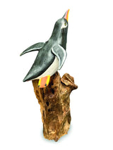 SINGLE CLIFF DIVING PENGUIN 13-15h