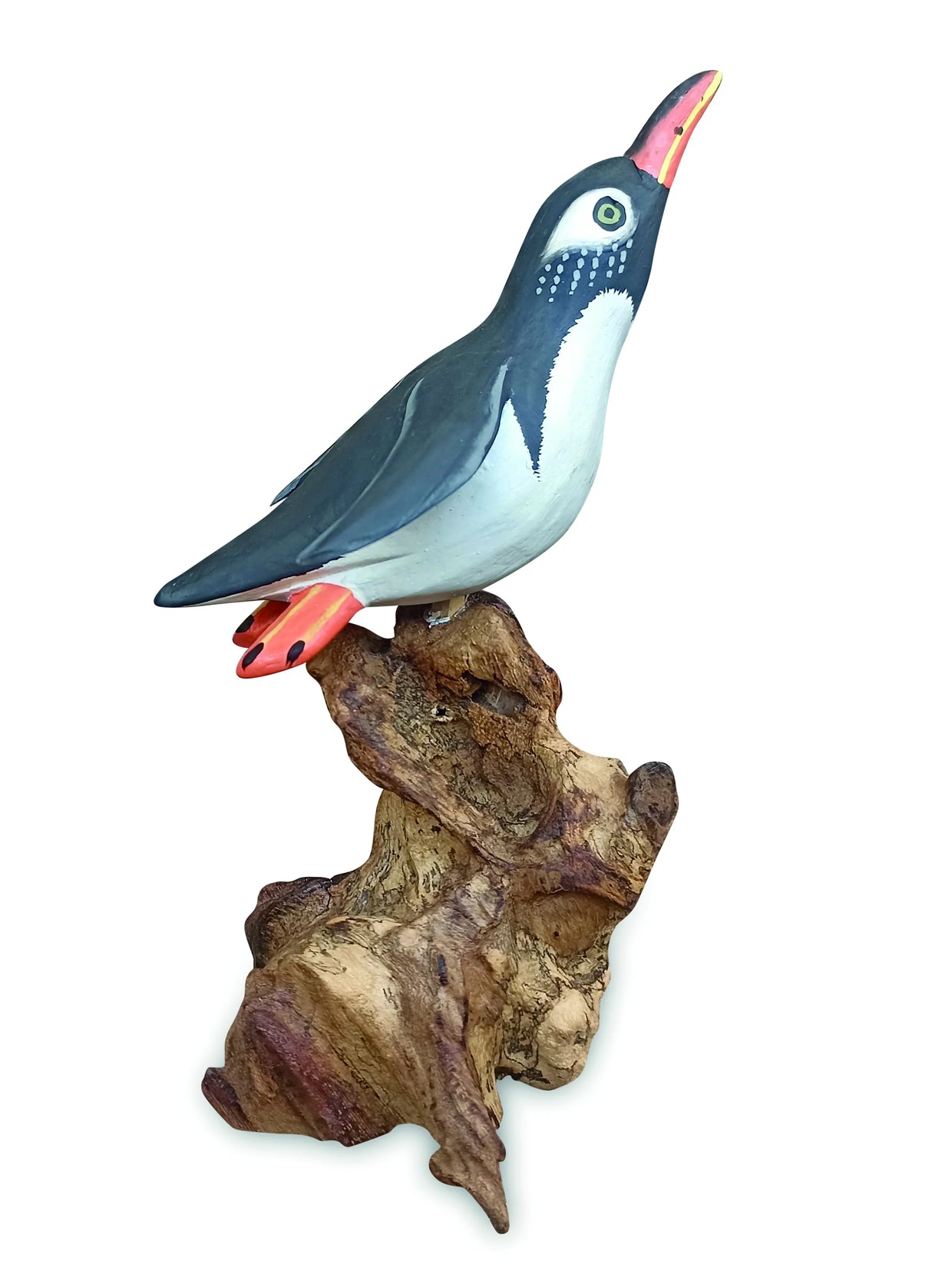 SINGLE CLIFF DIVING PENGUIN 13-15h