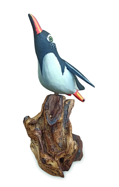 Single Cliff Diving Penguin 13-15h