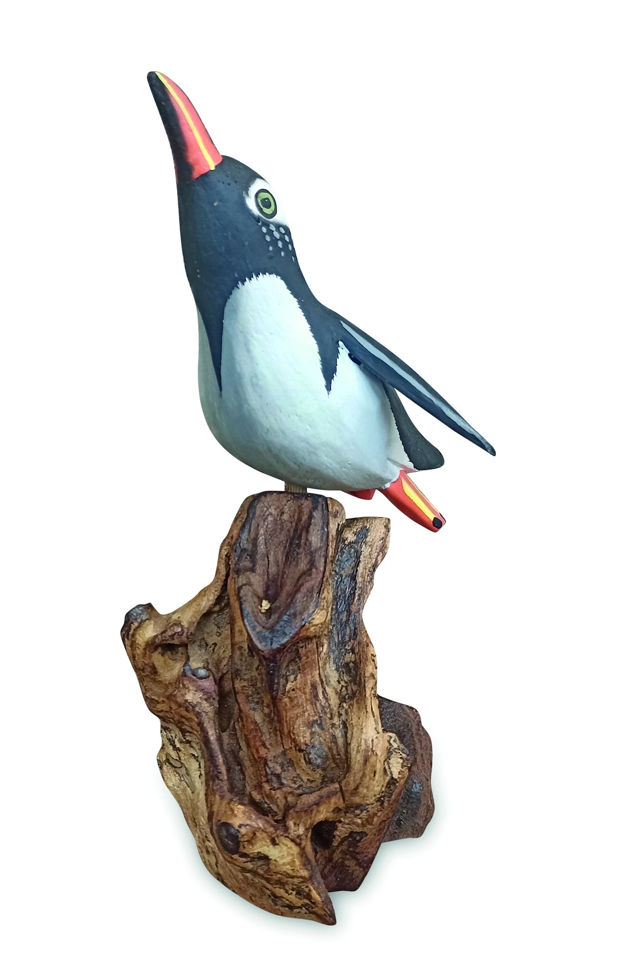 SINGLE CLIFF DIVING PENGUIN 13-15h