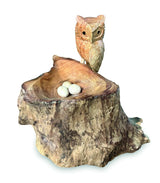 NESTING SINGLE TAWNY OWL