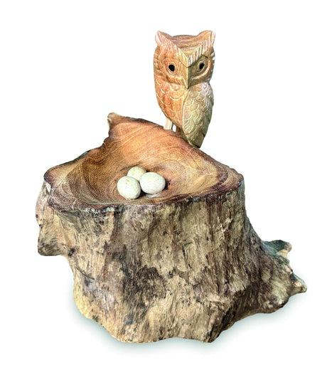 NESTING SINGLE TAWNY OWL