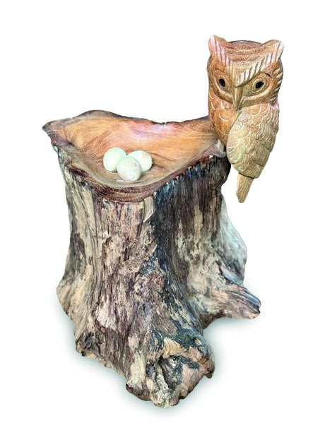 NESTING SINGLE TAWNY OWL