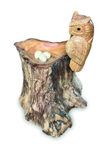 NESTING SINGLE TAWNY OWL