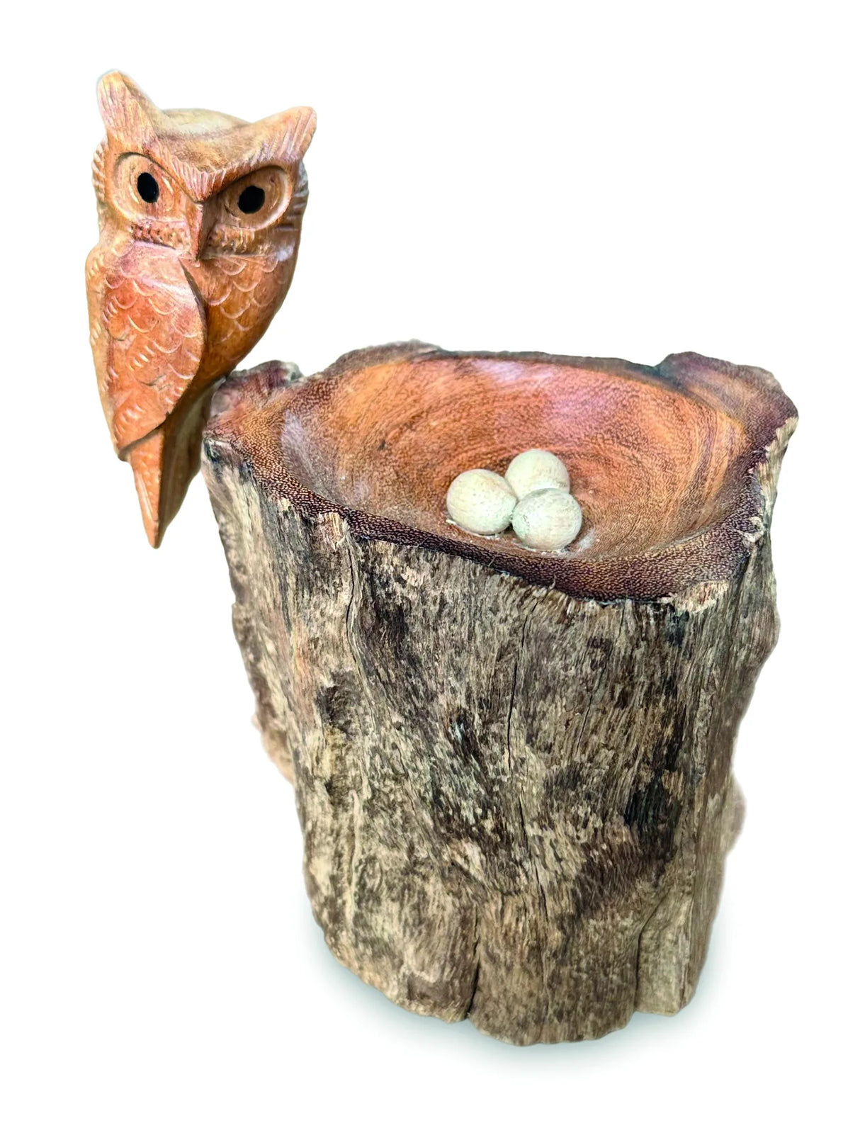 NESTING SINGLE TAWNY OWL