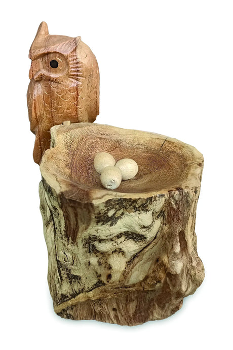 NESTING SINGLE TAWNY OWL