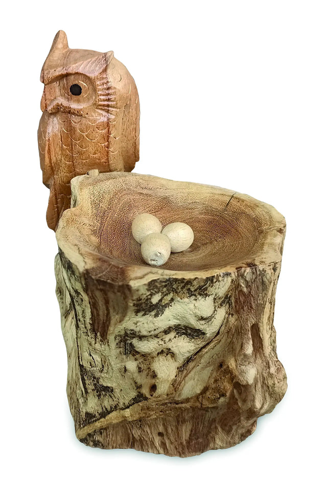 NESTING SINGLE TAWNY OWL