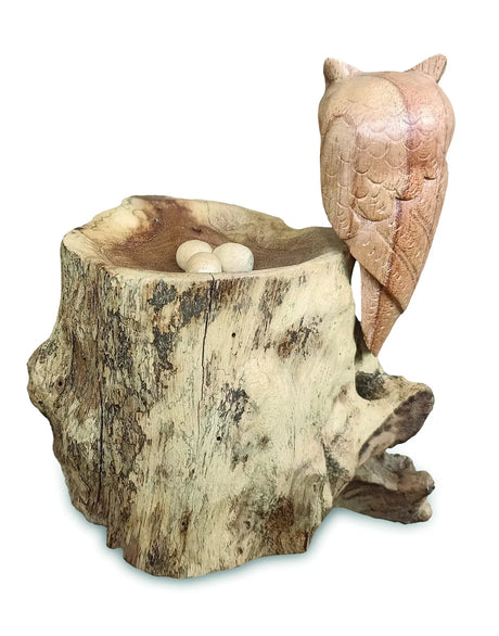 NESTING SINGLE TAWNY OWL