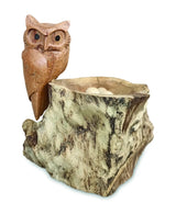 NESTING SINGLE TAWNY OWL