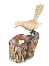 Single Lyrebird Nesting