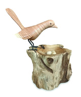 SINGLE LYREBIRD NESTING