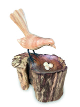 SINGLE LYREBIRD NESTING