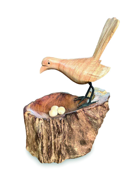 Single Lyrebird Nesting