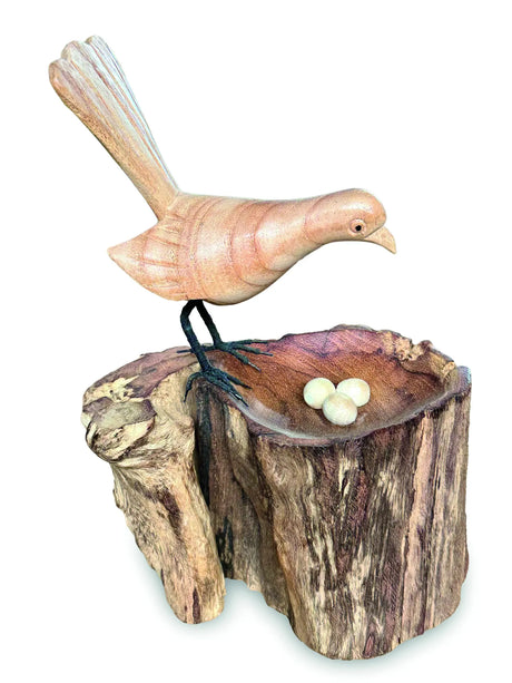 SINGLE LYREBIRD NESTING