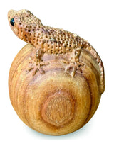Hand-Carved Gecko On Egg Large 13cm