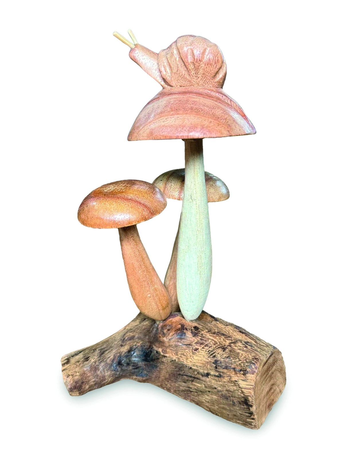 Snail On Mushroom 17cm
