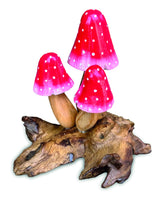 Red Morel 3 Mushrooms 12cm