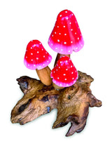 Red Morel 3 Mushrooms 12cm