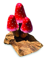 Red Morel 3 Mushrooms 12cm