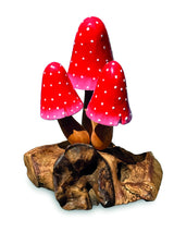 Red Morel 3 Mushrooms 12cm