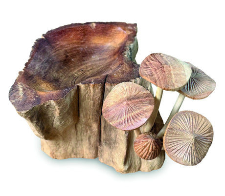 Incense Holder With Mushrooms 18cm