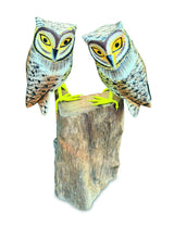 Painted Double Tawny Owls 27cm