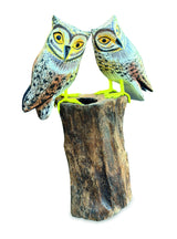 Painted Double Tawny Owls 27cm