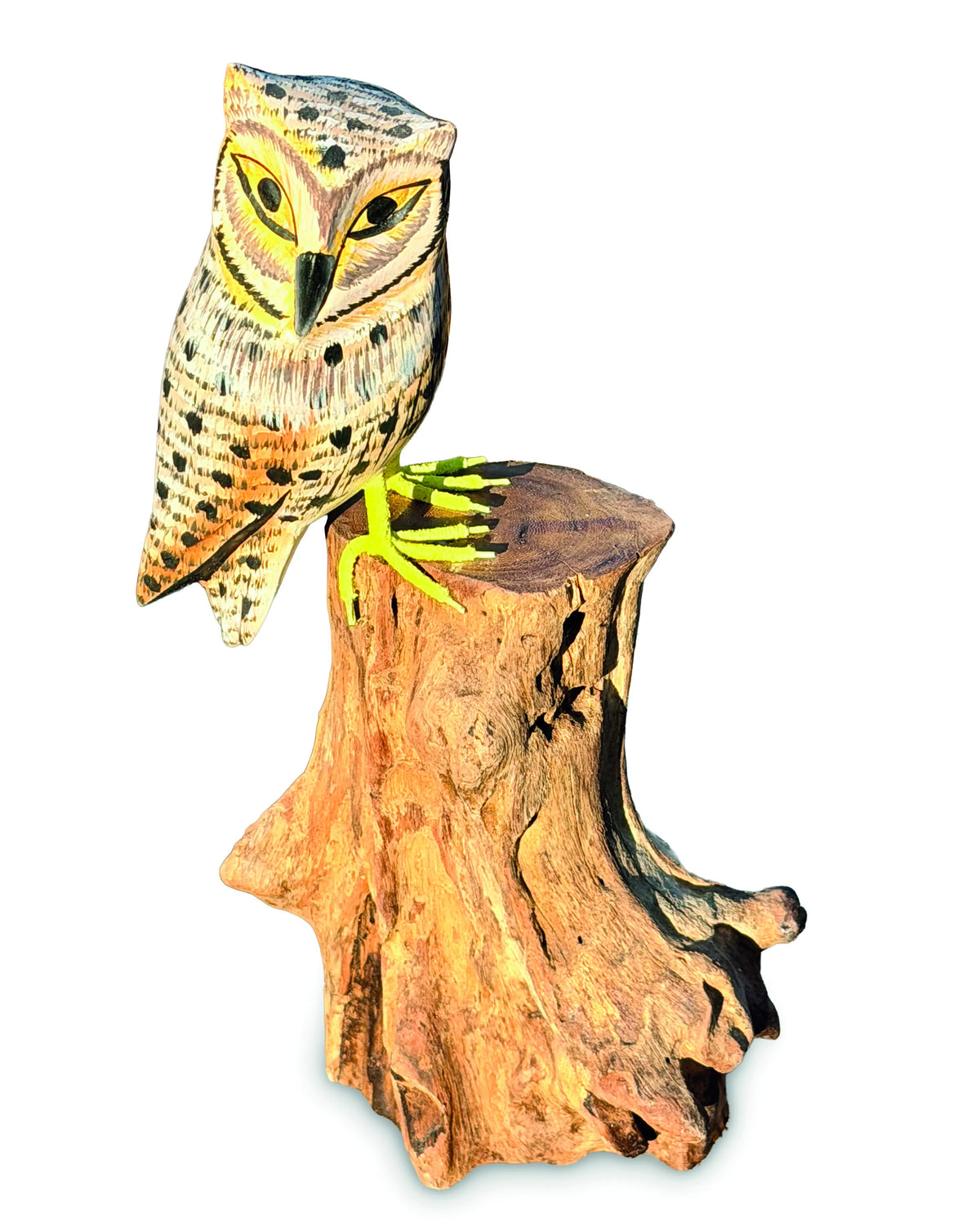 Painted Single Tawny Owl 26cm