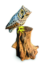 Painted Single Tawny Owl 26cm