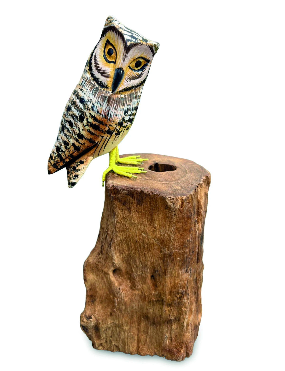 Painted Single Tawny Owl 26cm