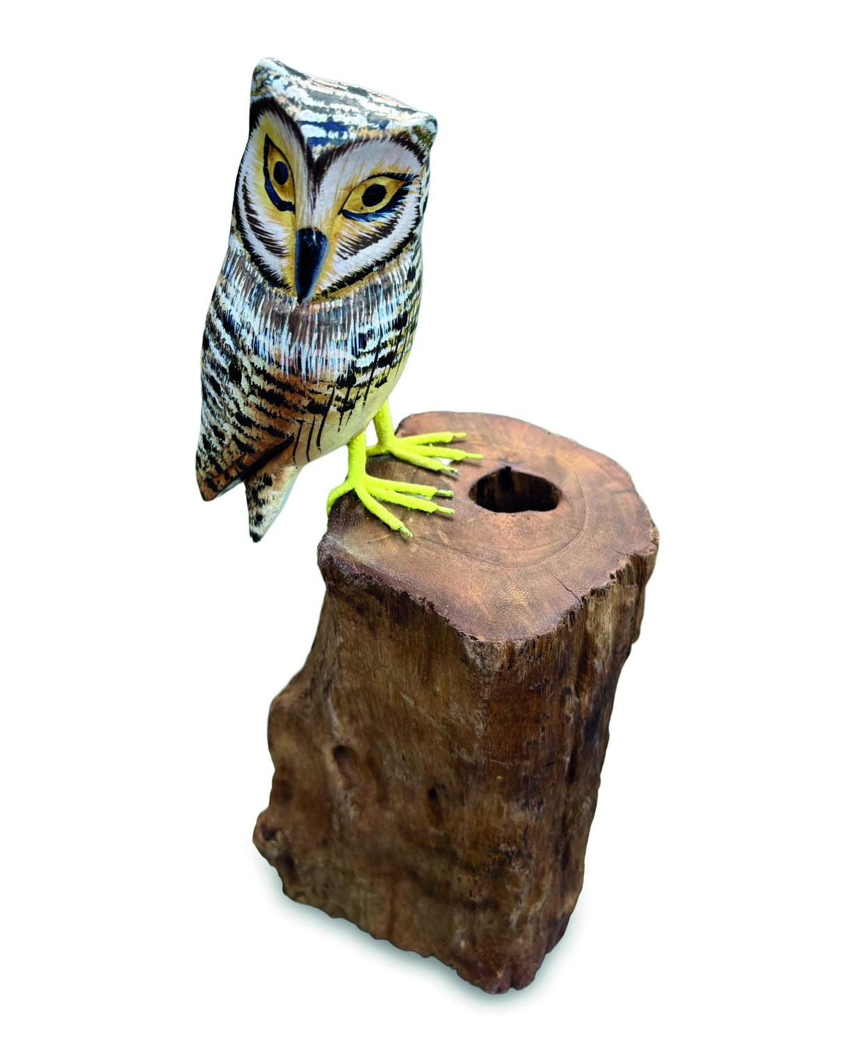 Painted Single Tawny Owl 26cm