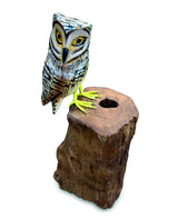 Painted Single Tawny Owl 26cm