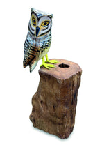 Painted Single Tawny Owl 26cm