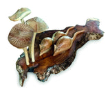 Three Blind Mice With Mushrooms 10cm