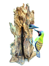 Woodpecker Feeding 40cm