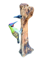 Woodpecker Feeding 40cm