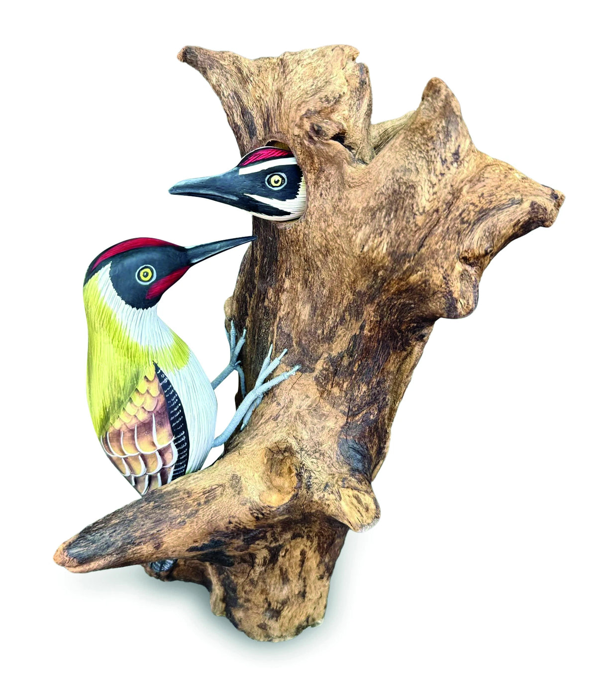 Woodpecker Feeding 40cm